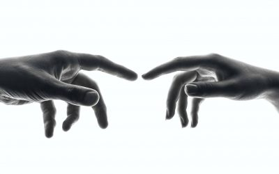 Bienvenido a la nueva web de Centro Pylus