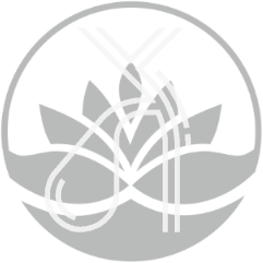 Angiología, Cirugía Vascular y Endovascular en Centro Pylus Xàtiva