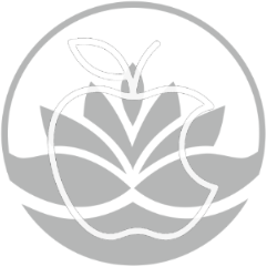 Servicio de dietética y nutrición en Centro Pylus Xàtiva